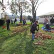 Boy Scouts raking leaves 11/19/11